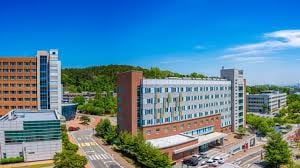 Bachelor of AI Cyber Security at Korea University - image 1